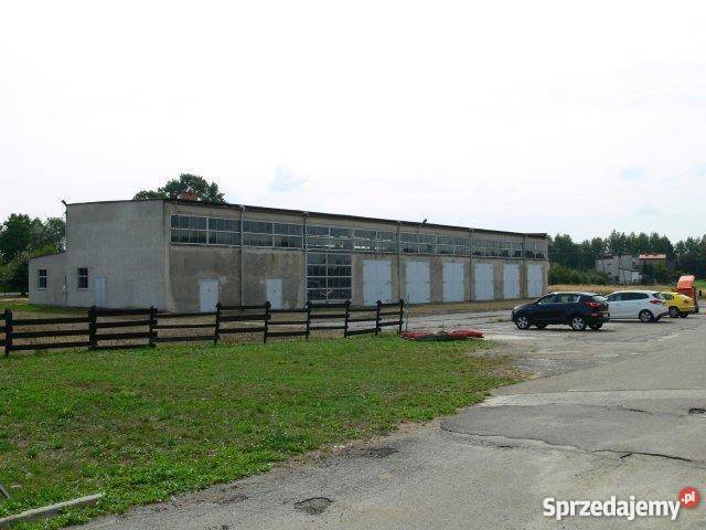 lokal do sprzedania Oświęcim małopolskie Oświęcim