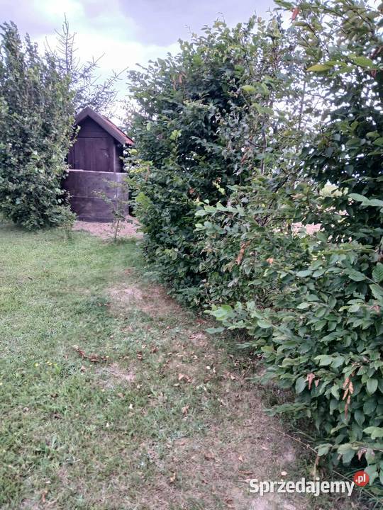 Sprzedam działkę na Mazurach Zachodnich Wólka Majdańska