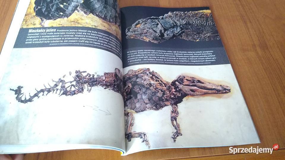 NATIONAL GEOGRAPHIC Polska  vol2 2 2000 luty Gdańsk