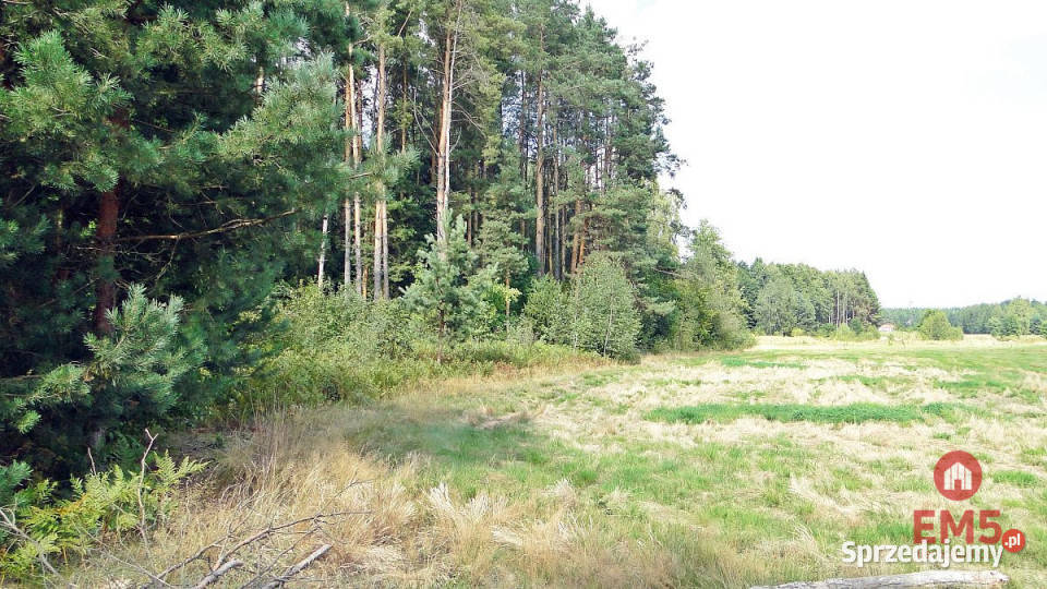 Grunt 10400m2 Zalesiany 134zł/m2