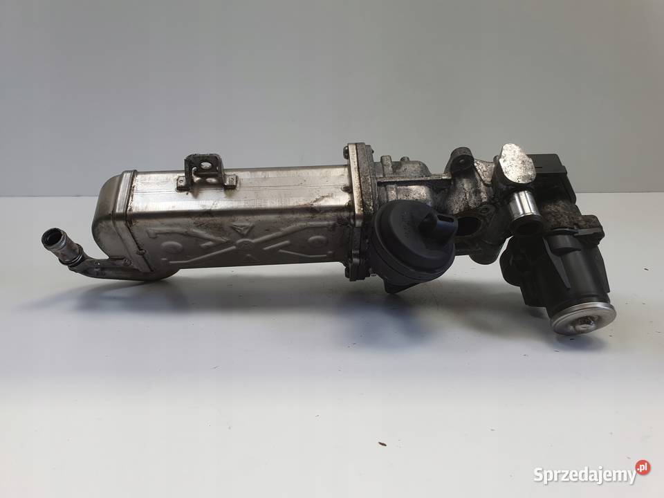 Audi A3 II 8P 16 TDI CHŁODNICA SPALIN egr Chełm