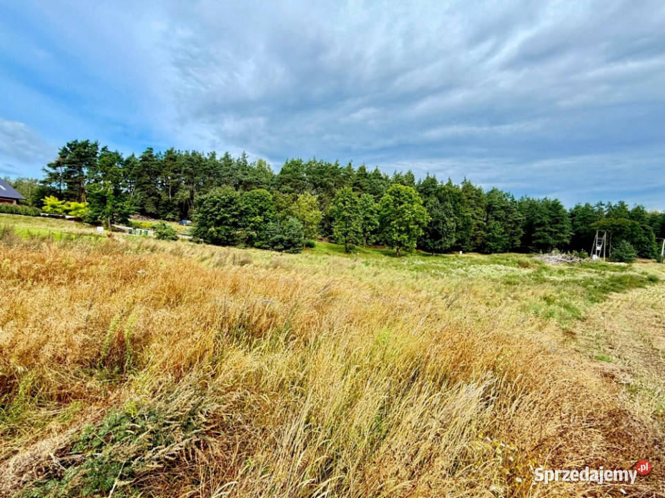 Duża działka 6000 m w Demlinie spokój natura i budowlana