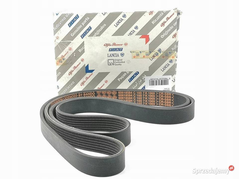 PASEK WIELOROWKOWY ALFA ROMEO 145 GTV SPIDER lubelskie