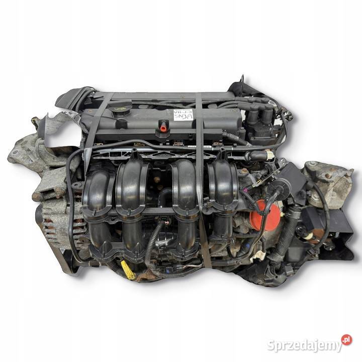 SILNIK SNJA Ford Fiesta VII MK7 125 82 benzyna lubelskie Chełm