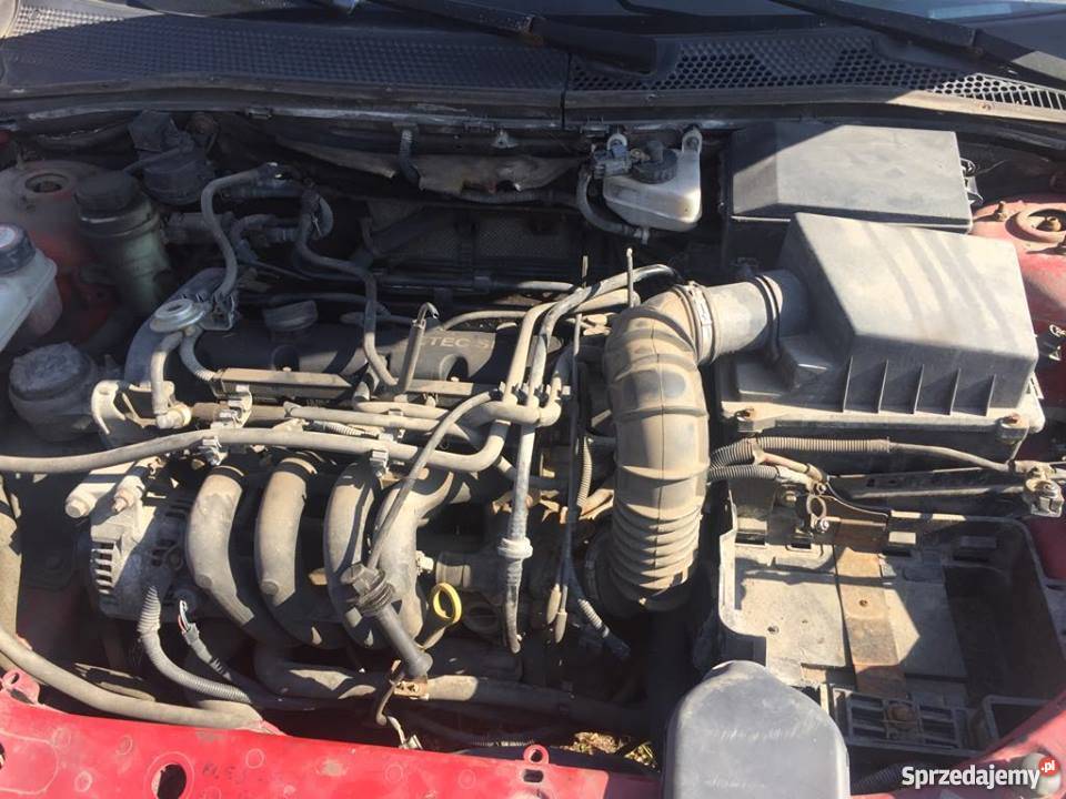 ROZRUSZNIK FORD FOCUS MK1 16 16V ZETEC łódzkie Gorzkowice