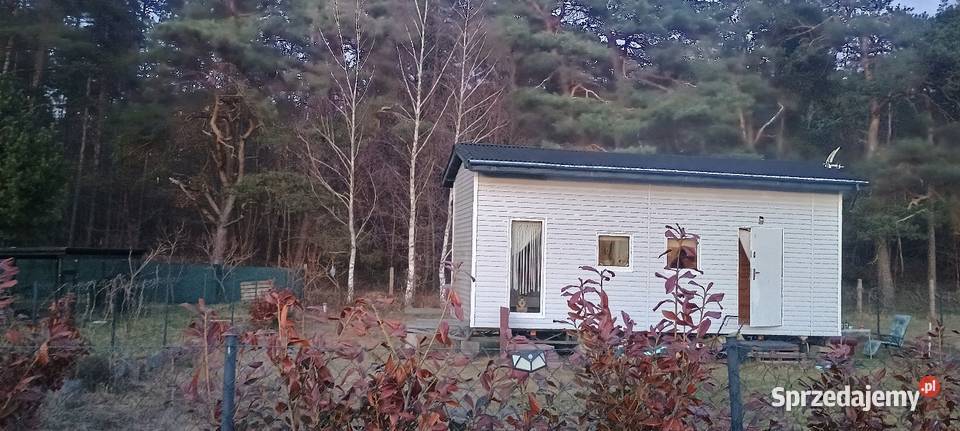 Dzialka rekreacyjna ROD z Tiny House szambo Nieruchomości Wejherowo sprzedam