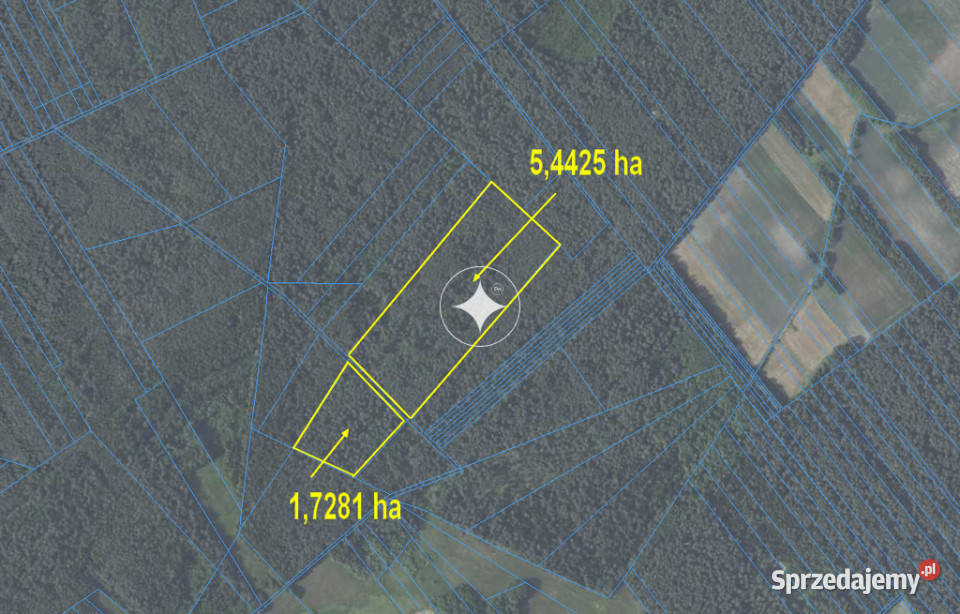 Działki leśne do sprzedaży Mokre gm Rossosz