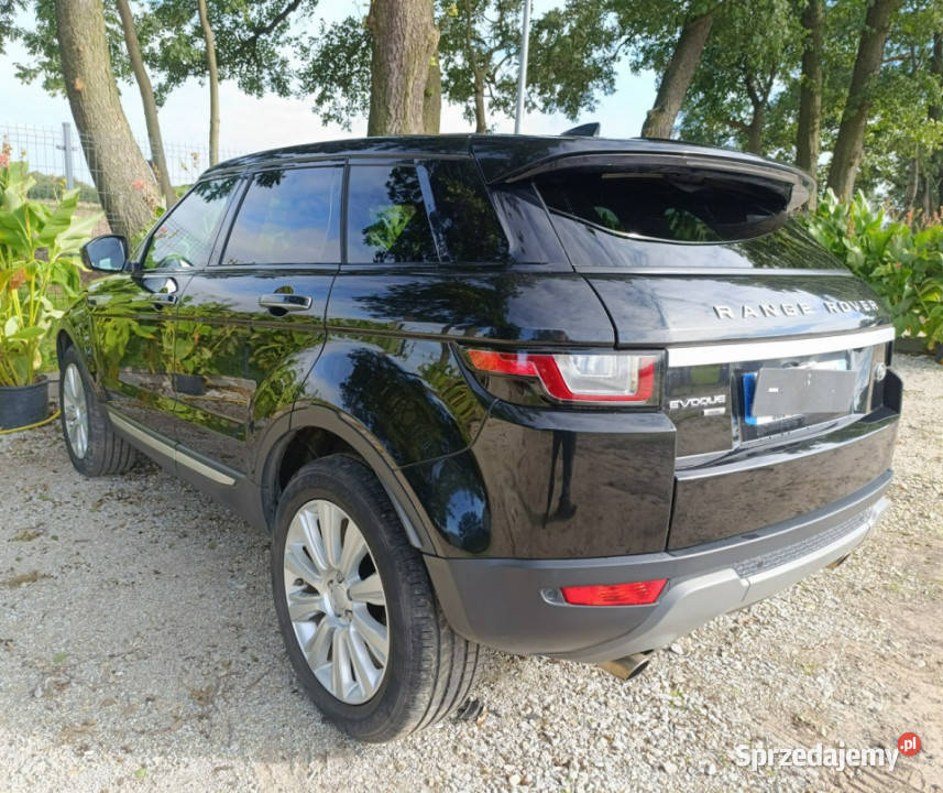 Land Rover Range Rover Evoque Evoque I 20112018 przyciemniane szyby Pleszew