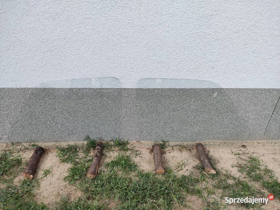 Szyby fiat 126p szyby