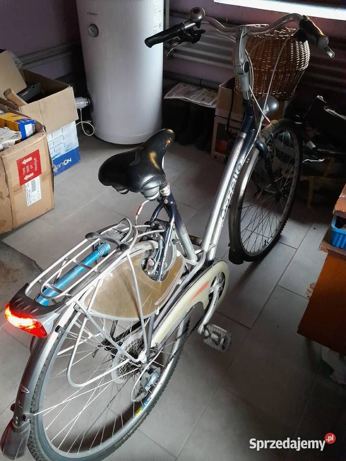 GAZELLE damka lubelskie Łuków