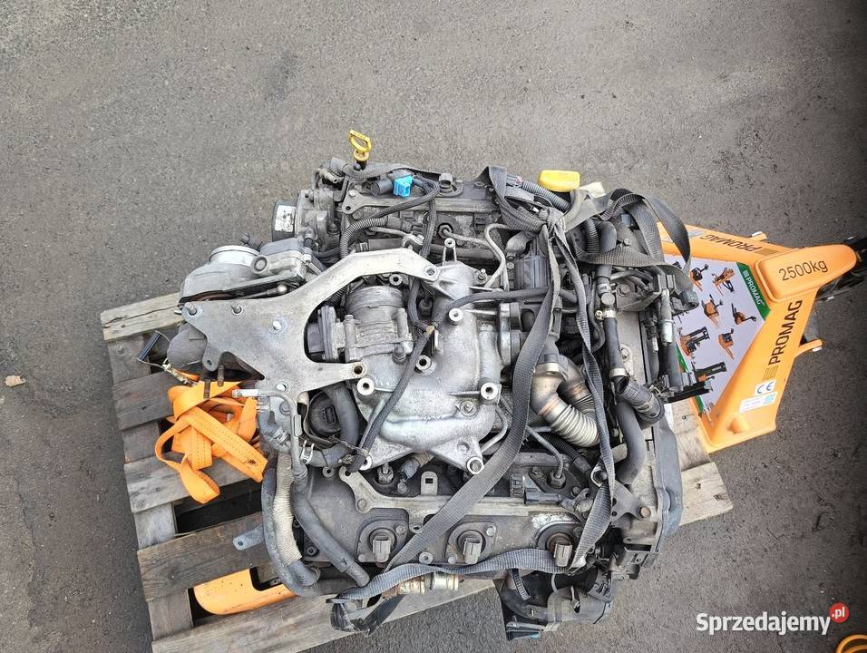 Silnik Opel Signum 30 V6 CDTI osobowe Brzeg