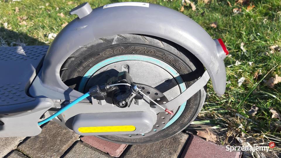 Hulajnoga Motus Scooty 10 plus 2022