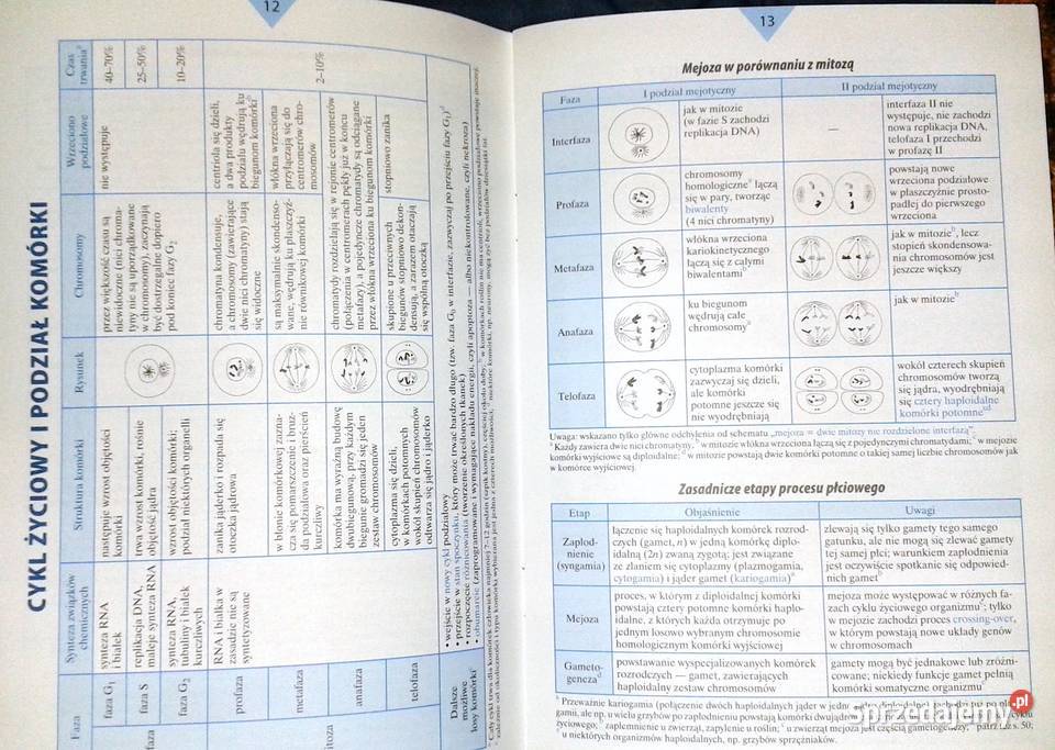 Bioligia Małe tablice W Mizerski B Bednarczuk I Chełm