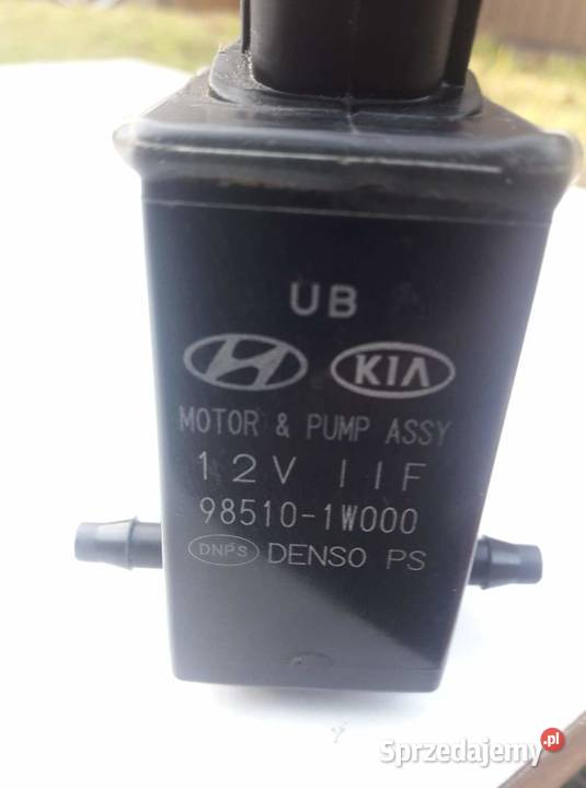 Hdbdgsgsysy y Y Rybnik