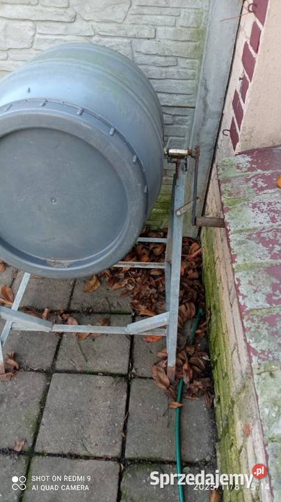 Zaprawiania do ziarna zbóż