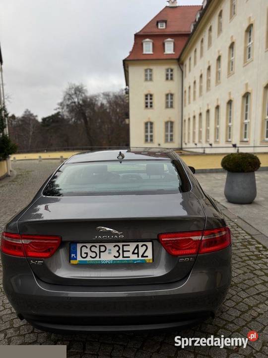 Jaguar XE 20 T Pure 200 2015r Bezwypadkowy Sedan / Limuzyna Sopot