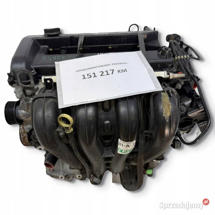 SILNIK QQDB Ford Focus II MK2 C C 18 16V 125 Chełm