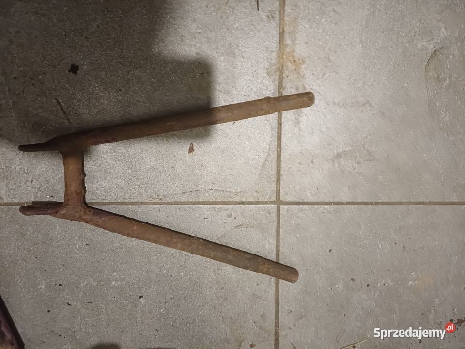 Ryś Żak wfm Kalwaria Zebrzydowska