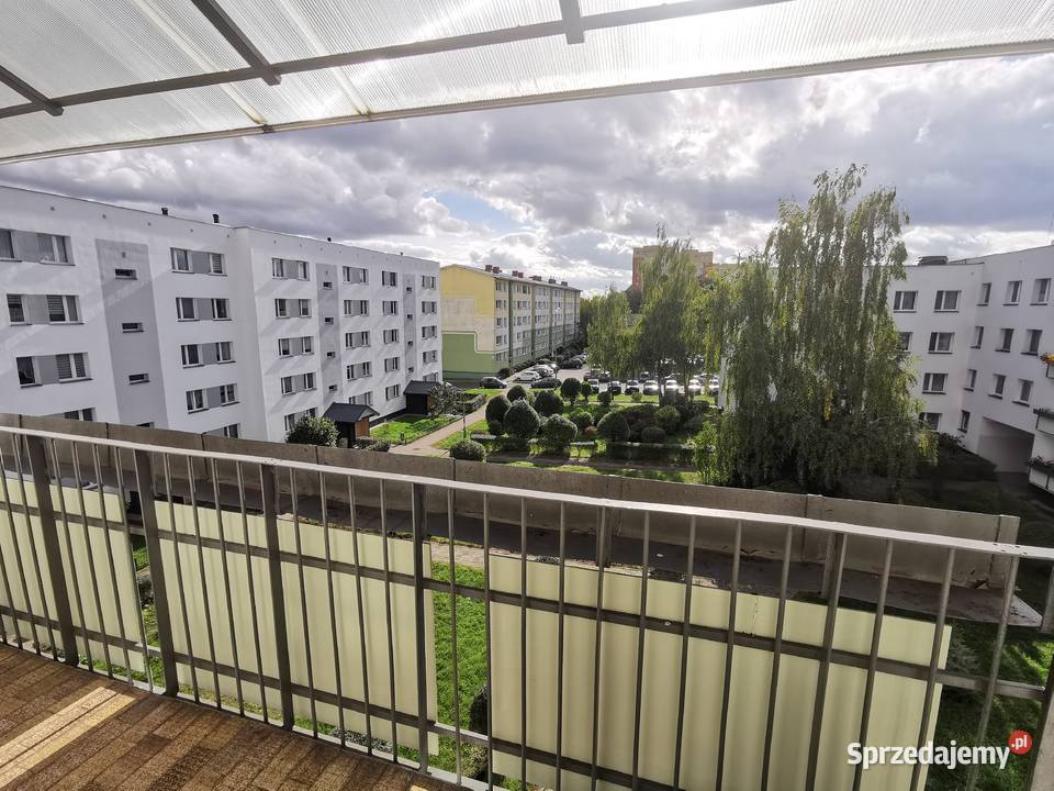 Mieszkanie 605 m2 ciepłe i ciche 3 pokoje Piętro 3 sprzedam