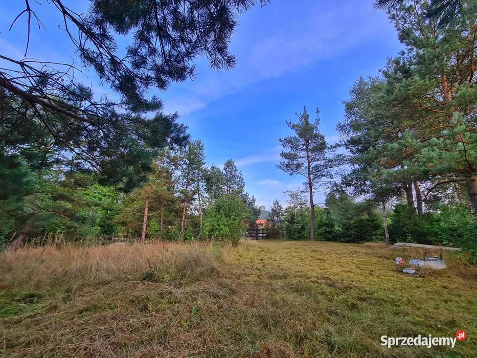 Parchowski Młyn działka rekreacyjno budowlana