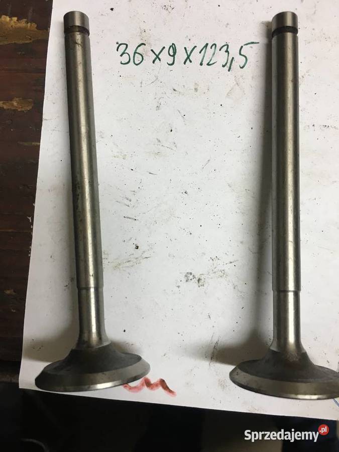 Zawory ssące wdechowe Żuk Nysa Warszawa M20 dolnośląskie Kłodzko