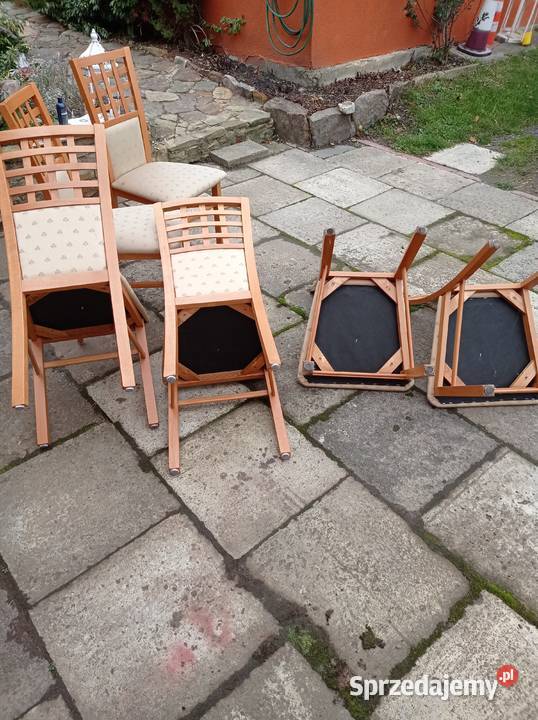 Sprzedam6 st 43cm świętokrzyskie Skarżysko-Kamienna sprzedam