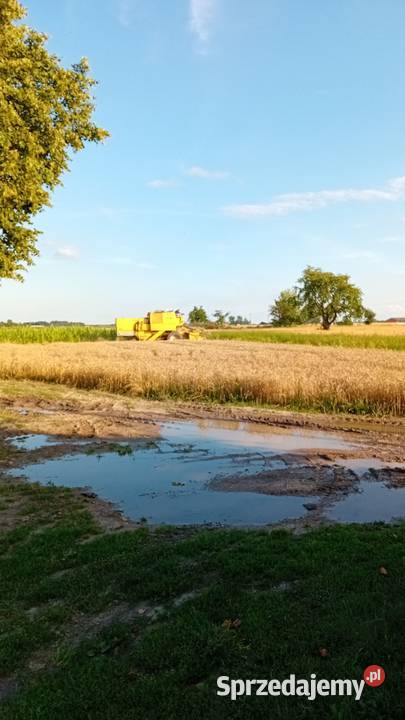 Kombajn zbożowy clayson holand m135 New Holland Wohyń