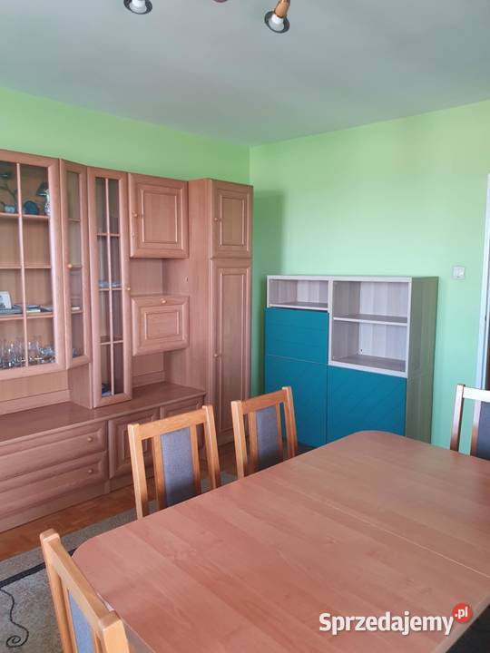 samodzielne mieszkanie 5500zł/m2 Koło