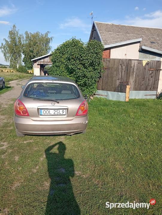 Almera opolskie