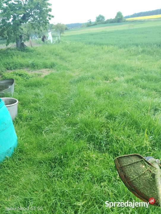 Koszenie kosą spalinową Gorzów Wielkopolski