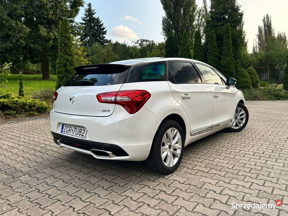 DS 5 20 BlueHDI Panorama Alcantara Navi Super manualna Szczecin