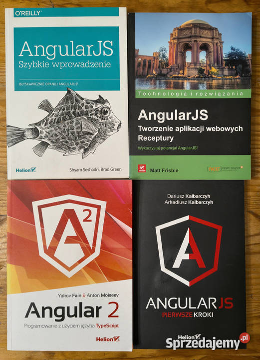 Angular 2 JS Fain Seshadri Frisbie Kalbarczyk Sosnowiec sprzedam