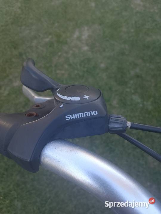 Rower damka 19 rama podkarpackie Jasło sprzedam