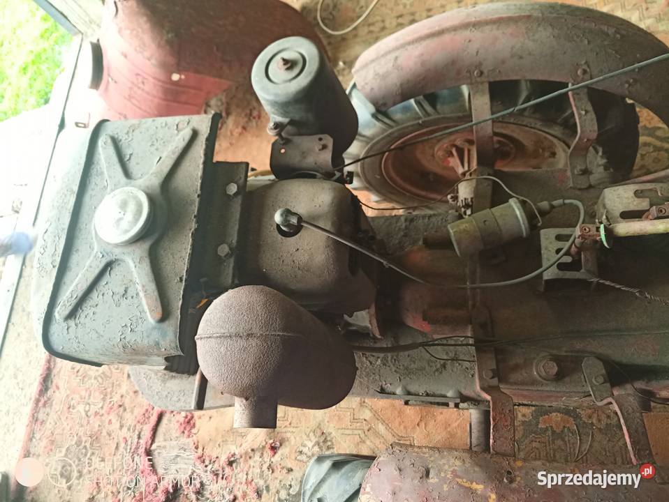 Sprzedam dzik 2 podkarpackie sprzedam