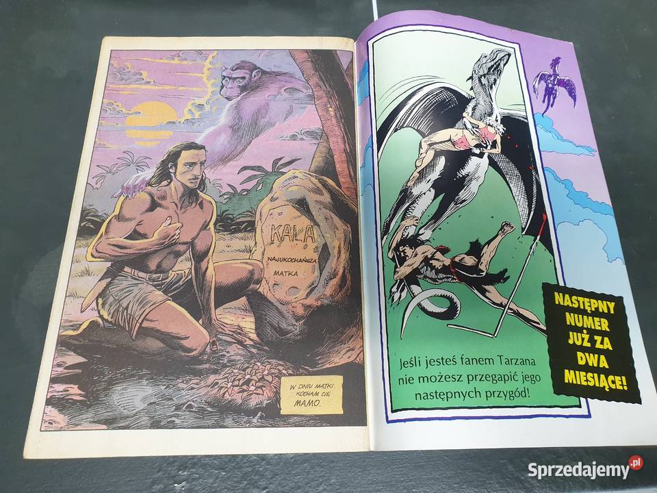 Tarzan 193 i 293 komiksy TMSemic Książki i Podręczniki Gdynia