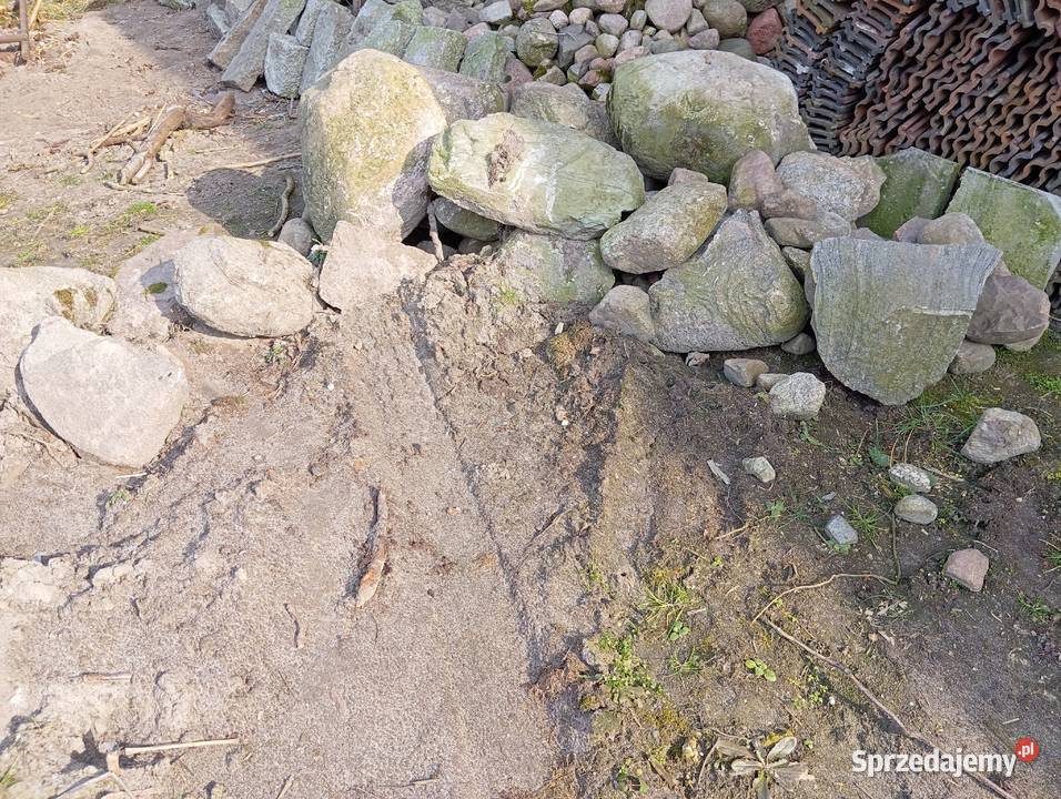 Sprzedam kamienie polne duże i male wielkopolskie Mosina