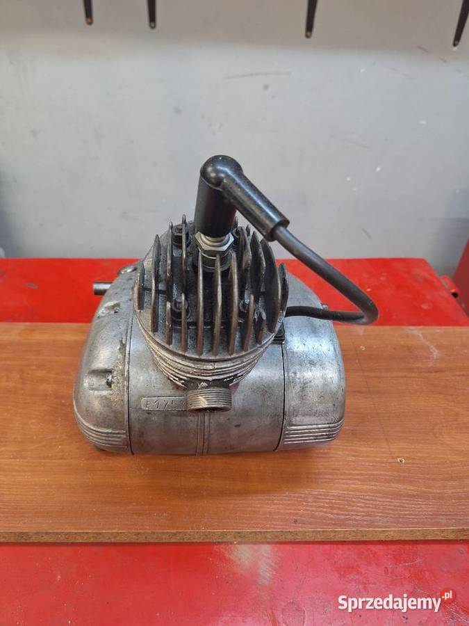 Komar sztywniak silnik S38 Krzywcza