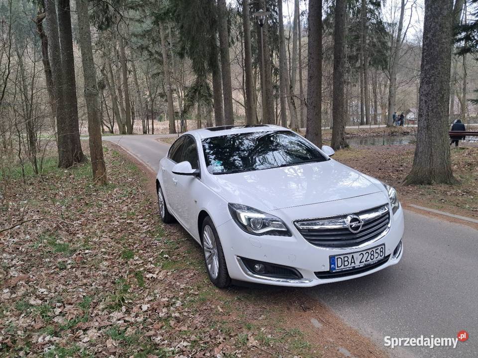 Opel Insygnia 16cdti Wałbrzych
