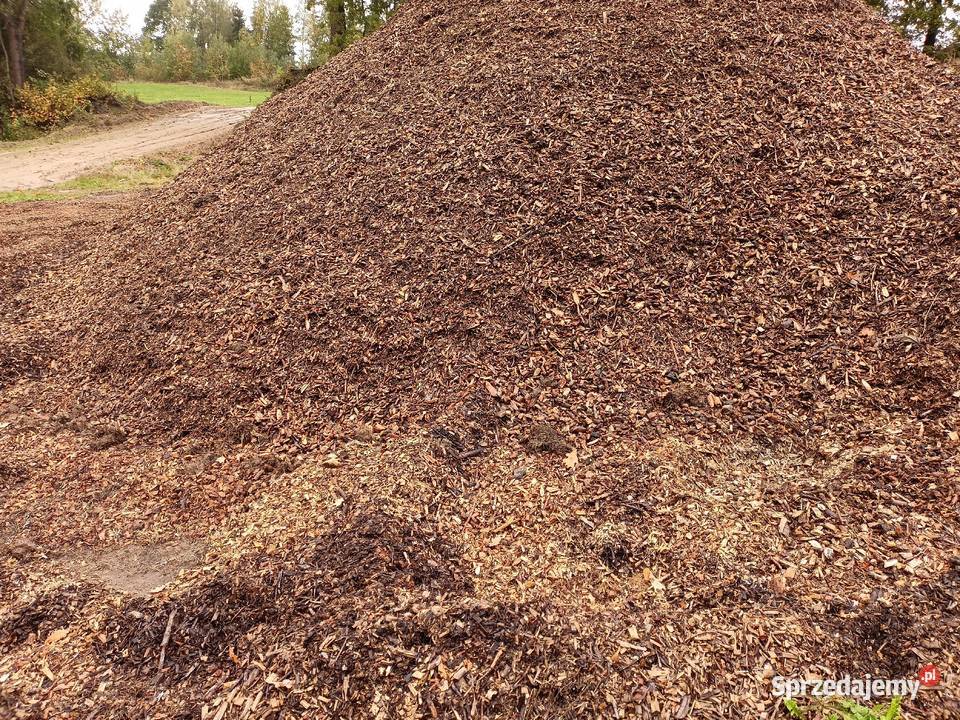 Zrębki Zrębka Leśna pomorskie Chmielno