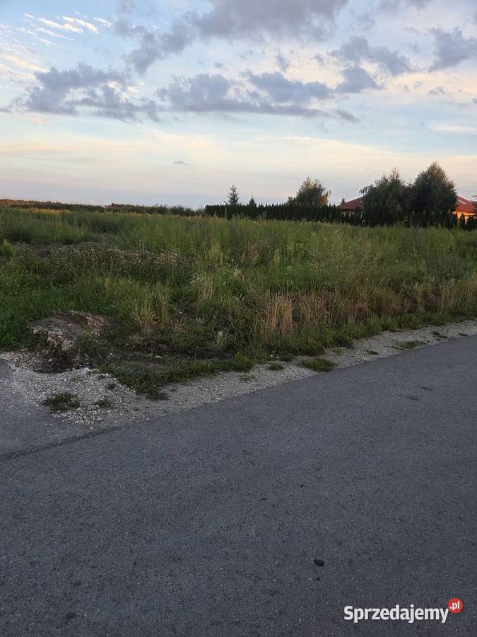 Działka 12800 m2 rolno budowlana Karolew 12800m2 Pniewy