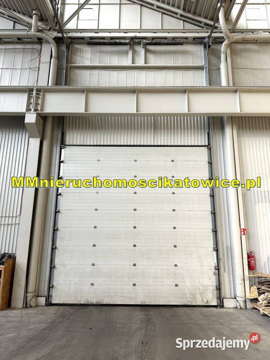 Lokal 1200m2 Katowice