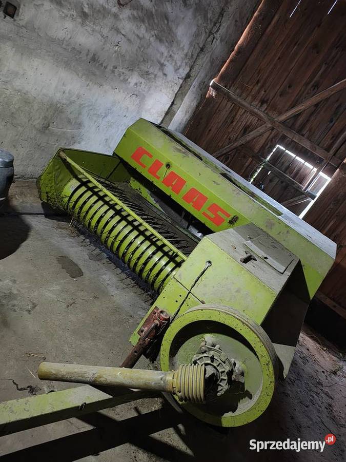 Presa prasa class Kostkujące opolskie Olesno