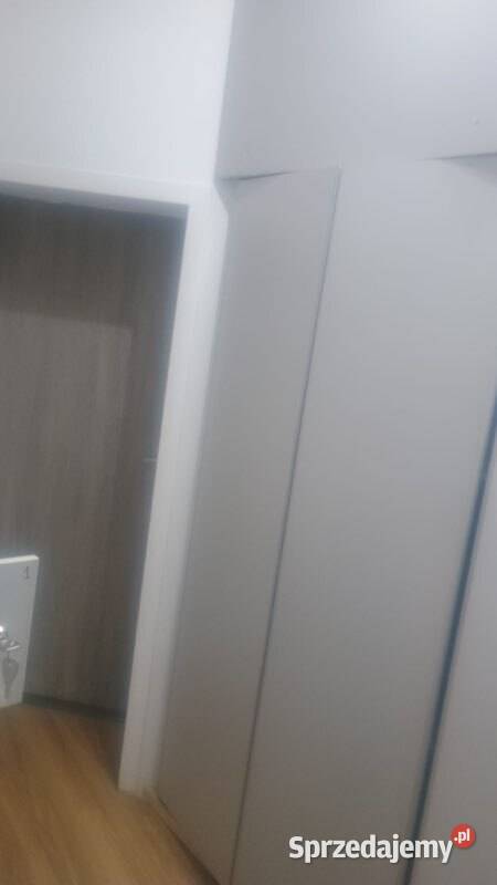 1pok 30met Sienkiewicza Wrocław Wynajem sprzedam