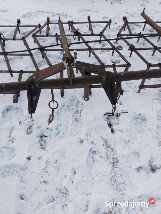 Brony 5 polowe Grudziądz Brony Miedźno