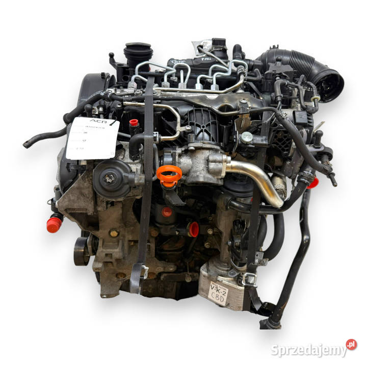 SILNIK CBD CBDC VW Golf VI Golf V Plus Passat B6 Chełm