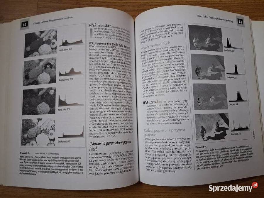 Obrazy cyfrowe Przygotowanie do druku grafika Warszawa