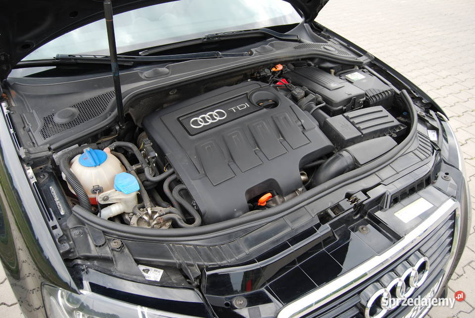 Sprzedam Audi A3 8P 16 TDI 2010r 3D