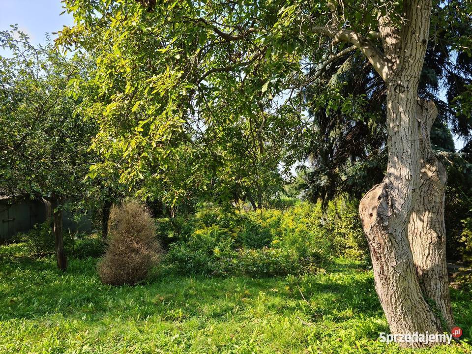 Sprzedam ogródek działkowy ROD Waszyngtona 580m2 prąd mazowieckie Warszawa