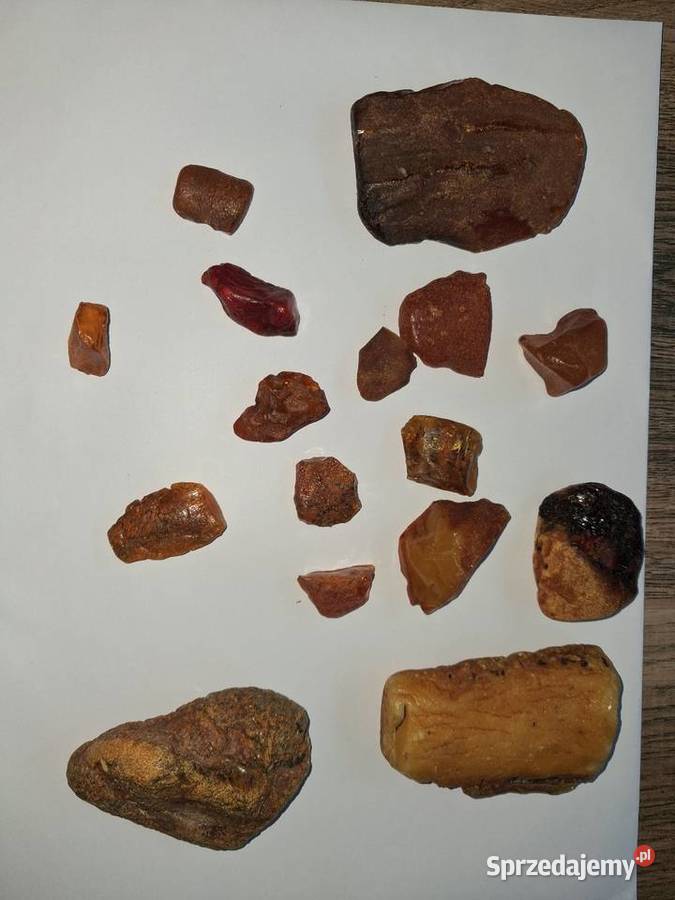 Bursztyn Bałtycki duża frakcja
