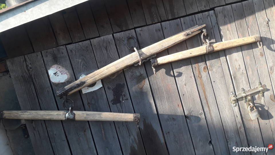 Orczyk konny Jaksonowice